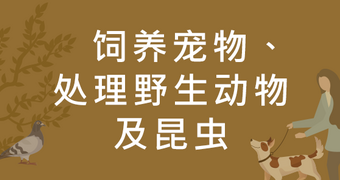 饲养宠物、处理野生动物及昆虫