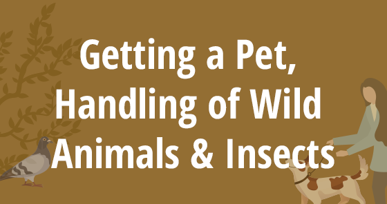 Getting a Pet, Handling of Wild Animals & Insects