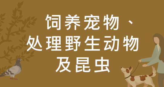 饲养宠物、处理野生动物及昆虫