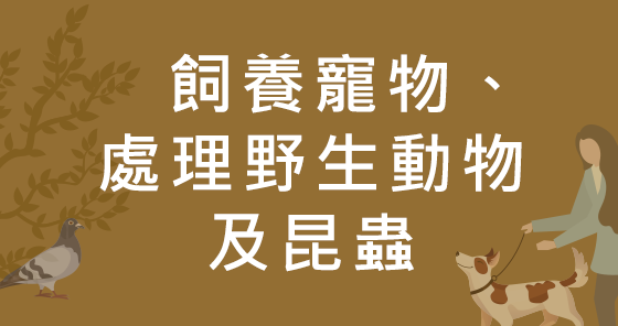 飼養寵物、處理野生動物及昆蟲