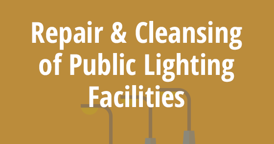 Repair and Cleansing of Public Lighting Facilities